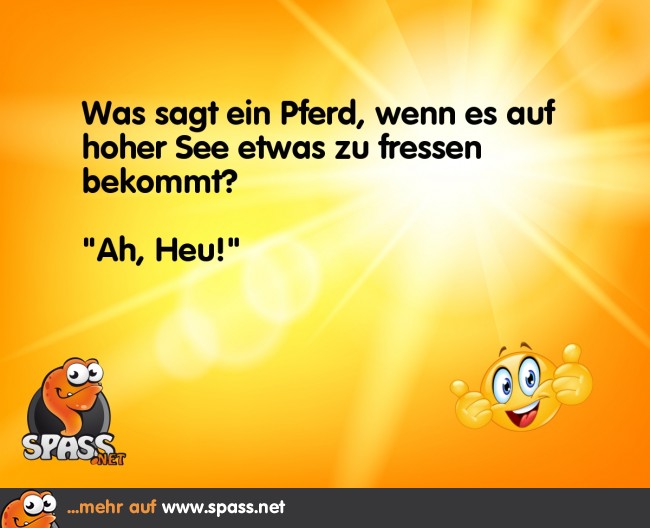 Heu auf hoher See Lustige Bilder auf