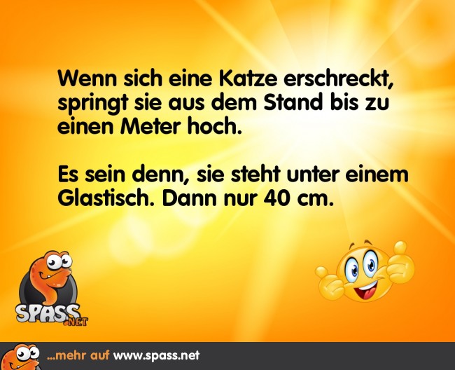 Abgebremster Sprung Lustige Bilder auf