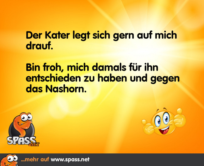 Die richtige Entscheidung Lustige Bilder auf