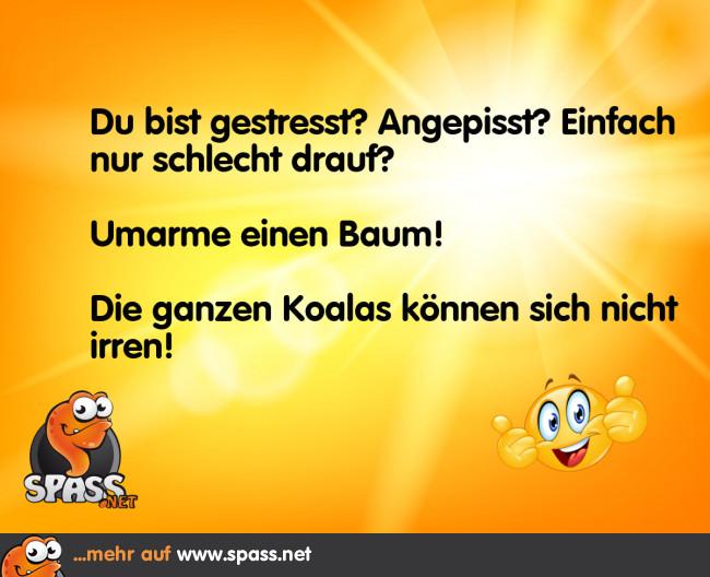 Baumumarmer Lustige Bilder auf