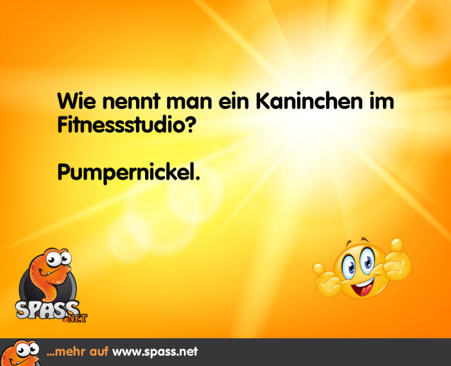 Langohrpumper Lustige Bilder auf