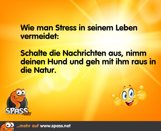 Bloss kein Stress! Lustige Bilder auf