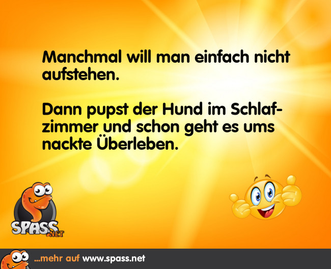 Überlebenskampf Lustige Bilder auf