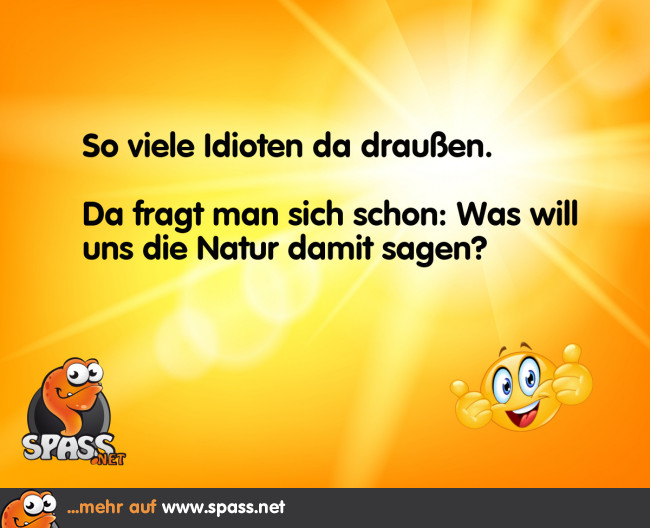 Ob das einen tieferen Sinn hat? Lustige Bilder auf