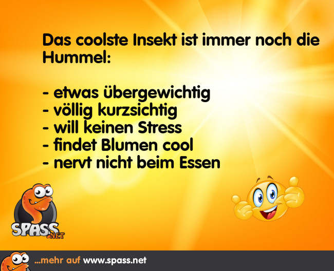Einfach ein cooles Insekt Lustige Bilder auf