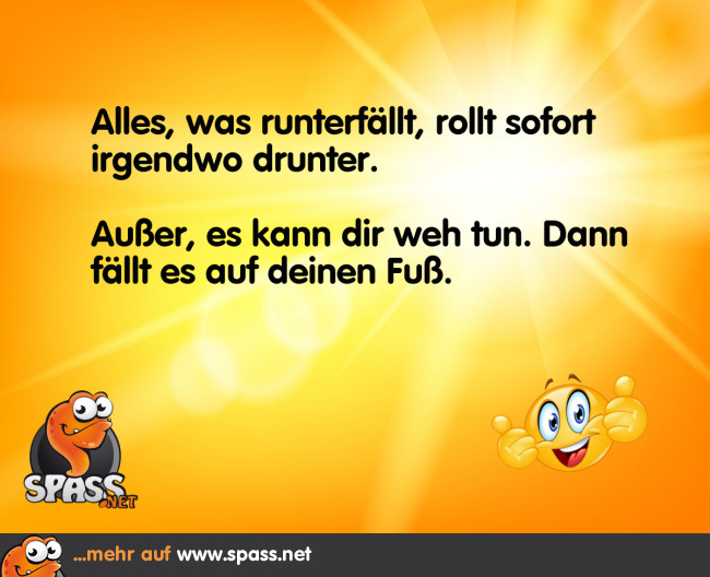 Das ist Gesetz Lustige Bilder auf