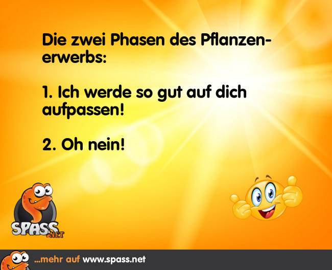 Und wieder geht es schief… Lustige Bilder auf