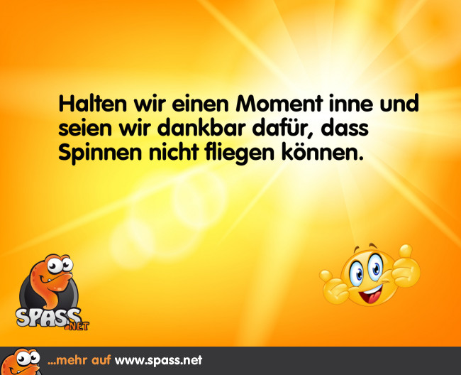 Aber springen können sie! Lustige Bilder auf