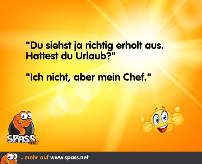 Chef im Urlaub Lustige Bilder auf