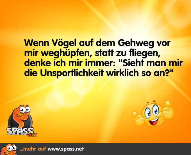 Wenn dich sogar Vögel unsportlich finden Lustige Bilder auf