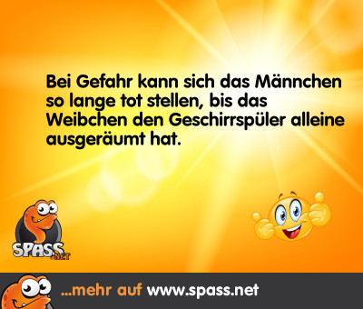 Lustige Bilder auf