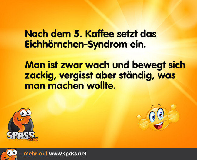 Das EichhörnchenSyndrom Lustige Bilder auf