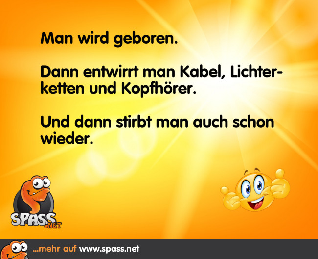 Die (Ent)Wirrungen des Lebens Lustige Bilder auf