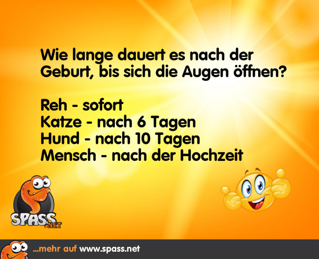 Augenöffner Lustige Bilder auf