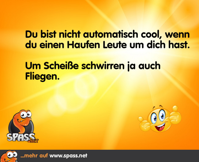 Von Fliegen umschwirrt Lustige Bilder auf