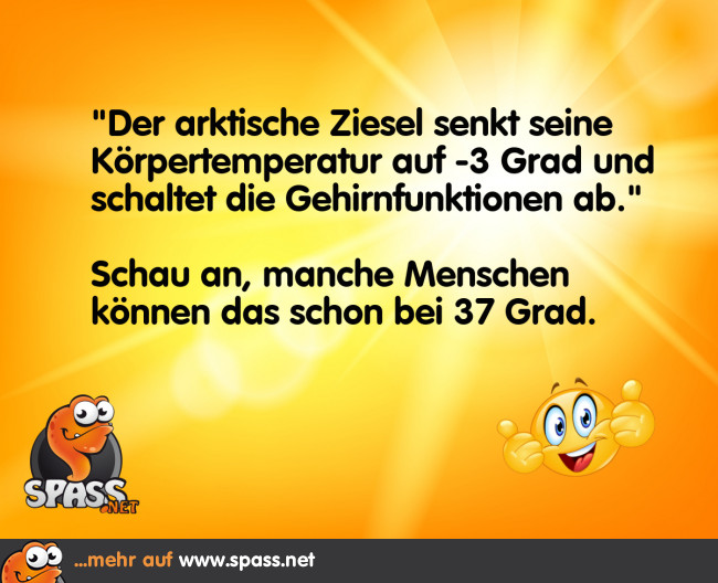 Gehirnabschaltung Lustige Bilder auf