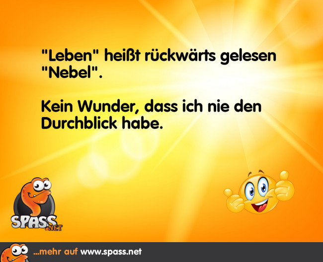 Keinerlei Durchblick Lustige Bilder auf